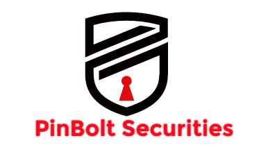 PinBolt Logo-transparent